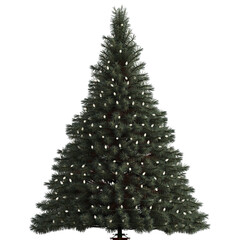 Christmas tree with only lights. You can decorate it yourself.  ( Background transparent ) 