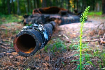 War in Ukraine, Remains of Destroyed and burned by Ukrainian army,  russian battle tank of the Russian invaders after counteroffensive 
