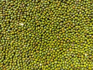 Mung beans 
