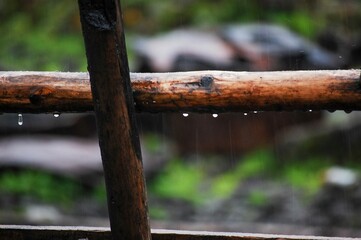 Closeup shot of the rain drops on a log