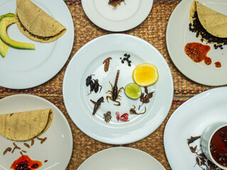 mexican food insects