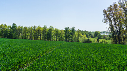 Landschaftsmotiv mit Feldern, Wiesen und B&auml;umen in der N&auml;he des Plauer Sees