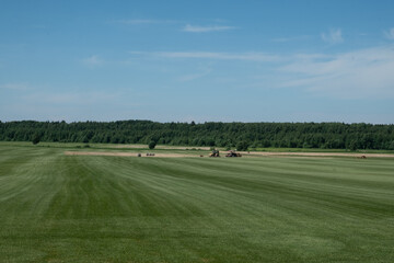 Fields sown with crops. Farming at the beginning of the season. Cultivation of agricultural products. Summer. Day.
