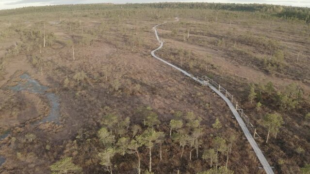 Kemeri swamps drone flies on the trail