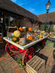 Colourful Pumpkins and Gourds on display for Harvest during Autumn Fall