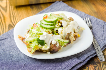 fries baked with meat, cheese and vegetables
