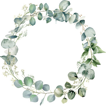 Eucalyptus leaves wreath. Watercolor illustration isolated on transparent background. Greenery floral frame for wedding invitation, greeting cards, save the date. Hand drawn green herbs