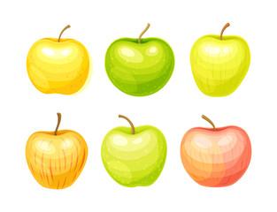 Whole Ripe Apple Fruit as Organic Garden Crop Vector Set