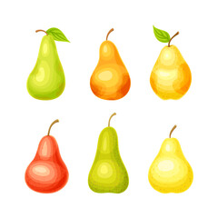Whole Ripe Pear Pomaceous Fruit as Organic Garden Crop Vector Set