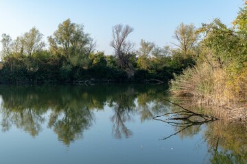 Scenic lake surrounded by vegetation reflecting in the water and a skyline in the background