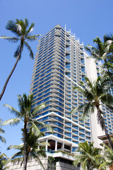 Fototapeta na wymiar Honolulu Downtown Residential Skyscraper With Palms