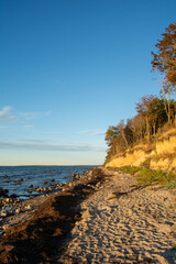 Steep coast at the black bush on the island of Poel on the Baltic Sea, Germany