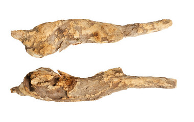 Macro wooden dried roots isolated on transparent background, (high resolution)