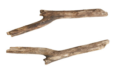 Macro dry branches isolated on transparent background, (high resolution)