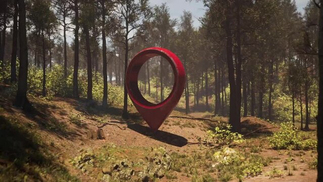 A red geotag in a beautiful forest at sunset. High quality 3d render