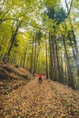 Fototapeta premium Walk in the fresh air in the autumn colourful forest in Beskydy mountains, Czech republic. Hiking lifestyle. Happy hiker in wild autumn nature. October