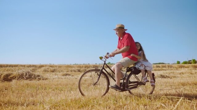 Blonde little girl enjoys riding bike with grandpa on wheat field against blue sky. Elderly man enjoys spending time with granddaughter slow motion