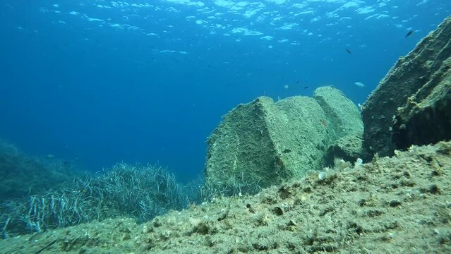 Riprese subacquee a Villasimius, dentici e ricciole riprese nel mar mediterraneo