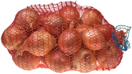 Onion in a grid, isolated on a transparent PNG