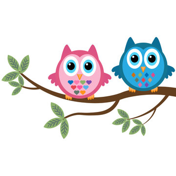 A couple of  colorful owls on a branch