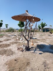 beach umbrella on a beach
