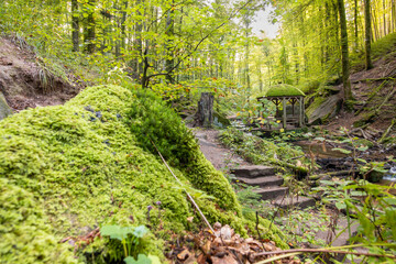 Fototapeta premium Haus mit Moos in der Karlstalschlucht im Pfälzer Wald