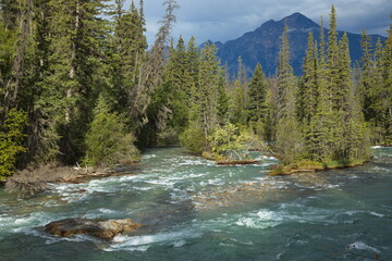 Maligne River in Maligne Canyon in Jasper National Park,Alberta,Canada,North America
