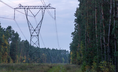 Fototapeta Stalowe , wielkie słupy elektryczne . Linia wysokiego napięcia biegnąca przecinką przez las , Tuż po zachodzie słońca . obraz