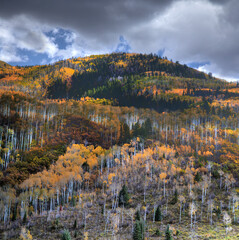 Colorado McClure Pass