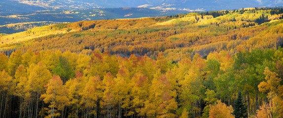 Naklejka premium Colorado Ohio Pass Autumn