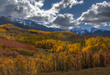 Colorado San Juans Autumn