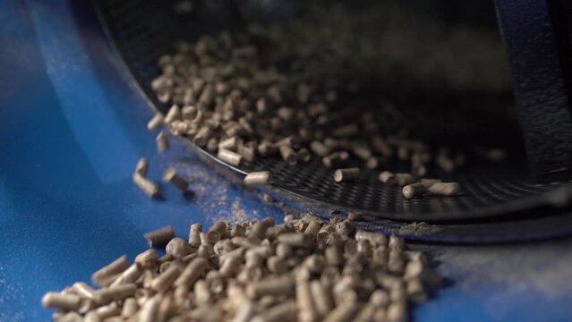 Wood fuel pellets fall on cells of delivering conveyor belt Close-up side view