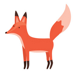 colored fox design