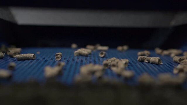 Wood fuel pellets fall on cells of delivering conveyor belt