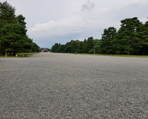Fototapeta premium road in the forest