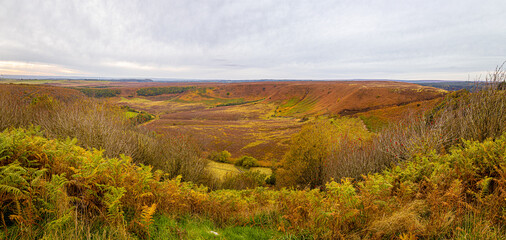 Heather and moorland cross in Yorkshire national park, England