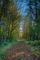 Darlin Creek Preserve Washington State