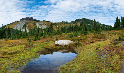 Fototapeta na wymiar Spray Park Trail Mount Rainier National Park