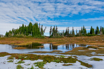 Spray Park Trail Mount Rainier National Park