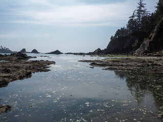summer at the sea coast