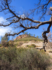 Pinnacles National Park scenic view