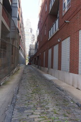 Urban Alley with Cobblestones, Brick Walls, Doors