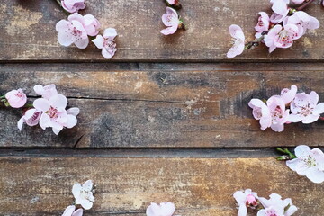 Pink flowers of apple tree or peach tree on wooden boards. Delicate inflorescences arranged in circle. Soft focus. Spring theme, holidays, spa, beauty, home interior. Copy space flat lay. Still life
