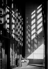 Architecture Building