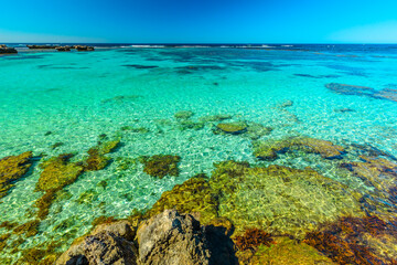 Fototapeta na wymiar Tourism in Perth. Rottnest Island, Western Australia. Scenic view from roks over tropical reef in turquoise crystal clear sea of Little Salmon Bay, a paradise for snorkeling, swimming and sunbathing.