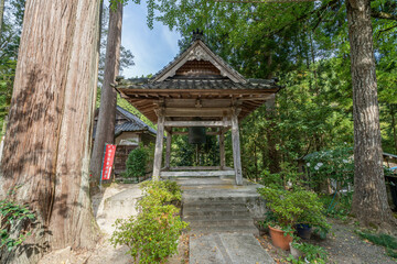 Fototapeta premium 御手洗池