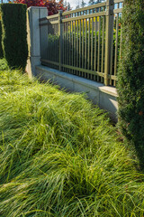 Green grasses landscape design High Line. Carex multi-leaved ground cover green foliage for decoration - obrazy, fototapety, plakaty