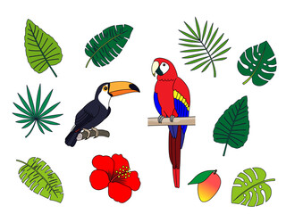 かわいい南国の野鳥イラストセット