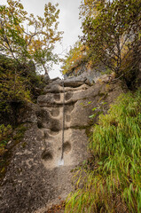 stream in the forest