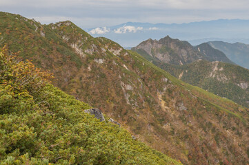 Fototapeta premium landscape in the morning